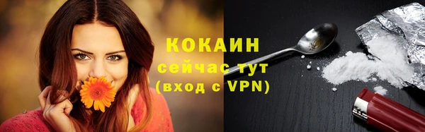 тгк Алзамай