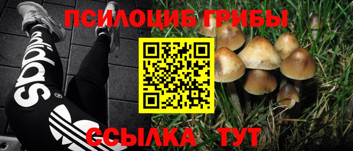Соликамск  Галлюциногенные грибы Psilocybine cubensis  Вход с VPN 